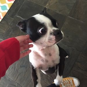 Meet your Posher, Diane